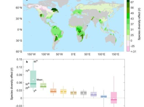 我国绘制世界首幅全球树种多样性对森林抵抗力影响空间分布图