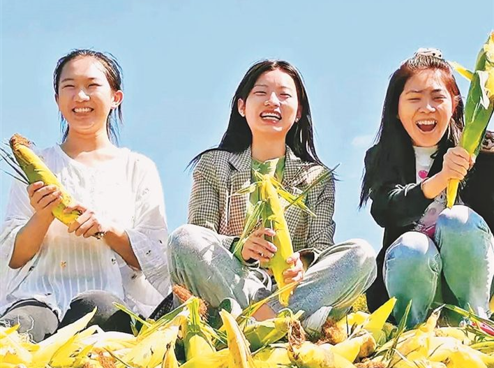 黑龙江北林：玉米鲜香 订单上门