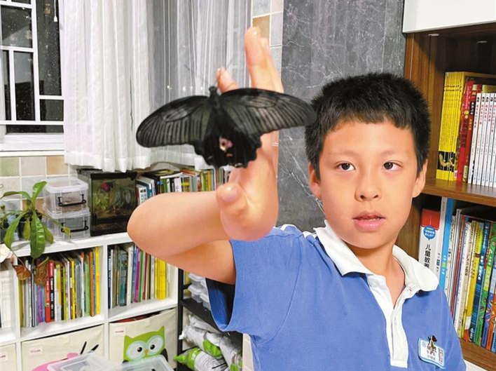 深圳9岁男孩与他的昆虫世界：不是在找虫就是在找虫的路上