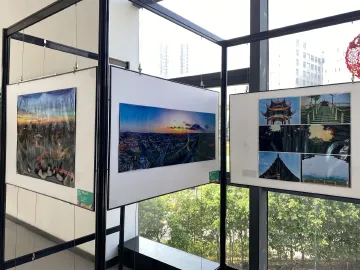 凤凰街道举办“绚丽光明”主题摄影展