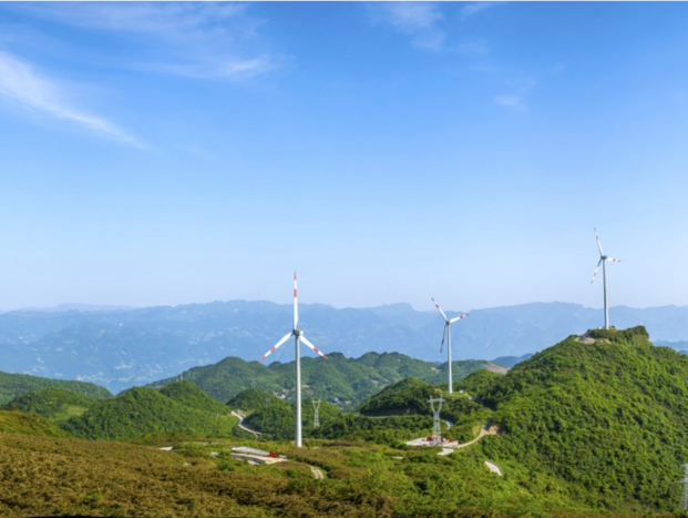 健全防控体系，向物种入侵说“不”