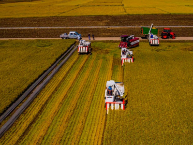 稻菽千重浪丨中国要强，农业必须强