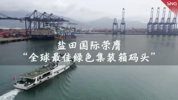 盐田国际荣膺“全球最佳绿色集装箱码头”