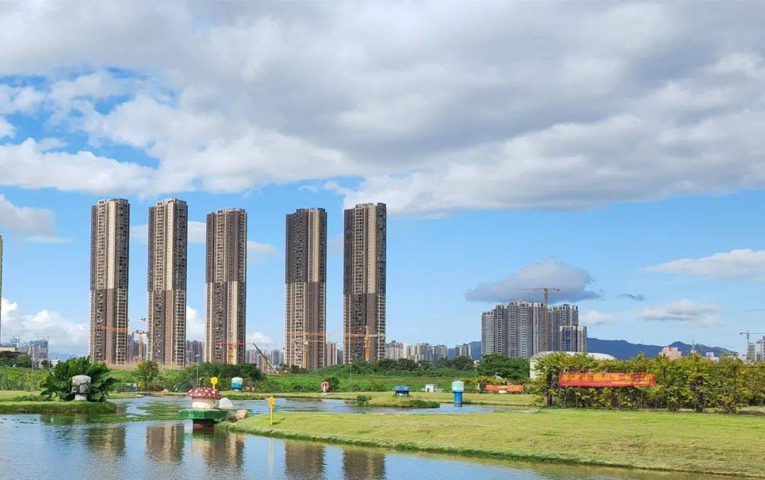 共栽“梧桐树”！碧岭凤凰公馆探索党建引领超高层住宅小区治理问题