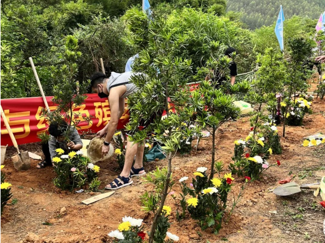 佛山：举行骨灰植树公益活动，以一树新绿遥寄思念