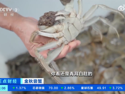 10月中旬阳澄湖大闸蟹大量上市，产量预计在7900吨左右