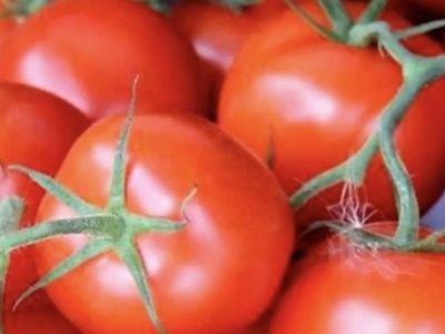 能源价格飙升，丹麦巨头宣布今冬停产西红柿和黄瓜