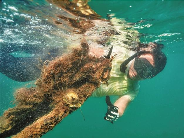 第十八届深圳国际海洋清洁日启动 越来越多家长带着孩子参与海洋清洁