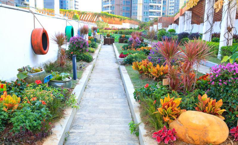 开启市民“花样生活” 坪山区已建成11个共建花园