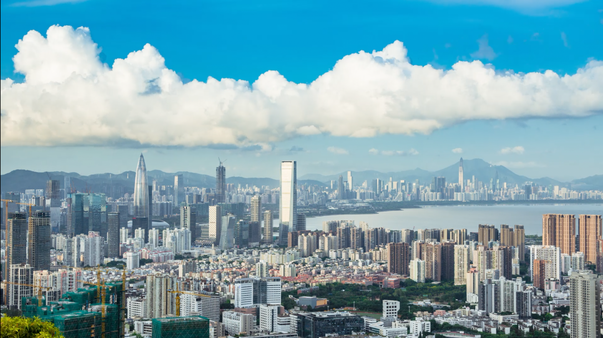 新闻路上说说说｜上市企业超200家，你知道为什么是南山吗？