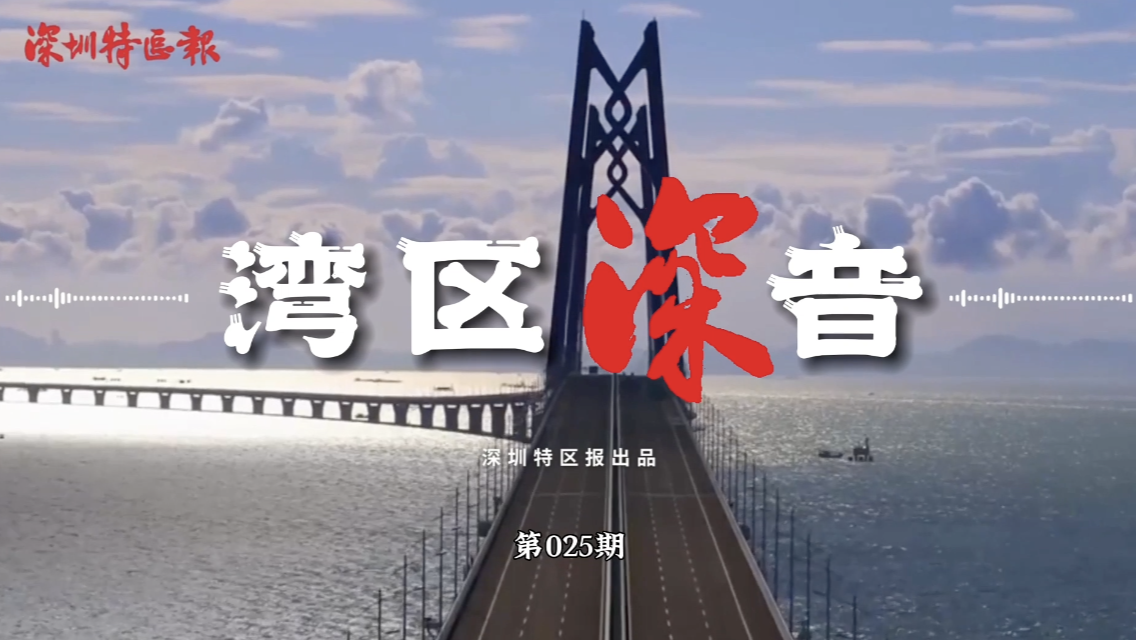 湾区深音丨樊纲：发展统一大市场是制度改革问题