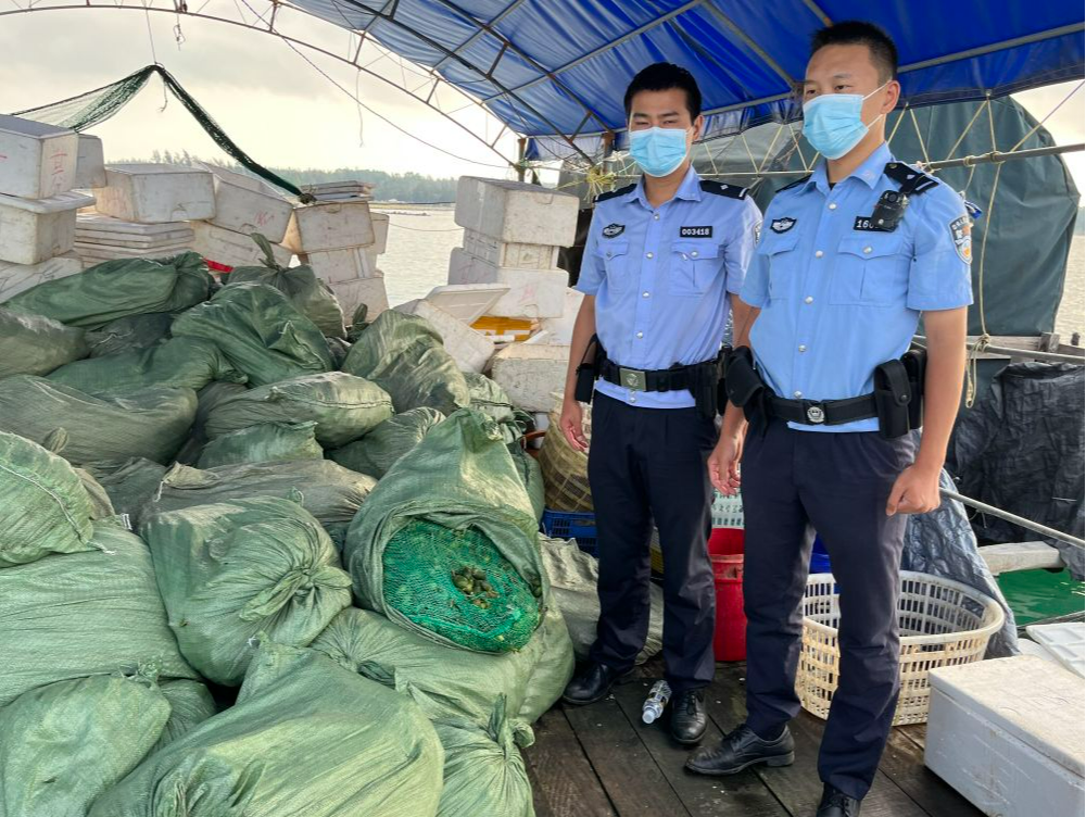 海南警方查扣走私槟榔约10.5吨，涉案案值1160余万元