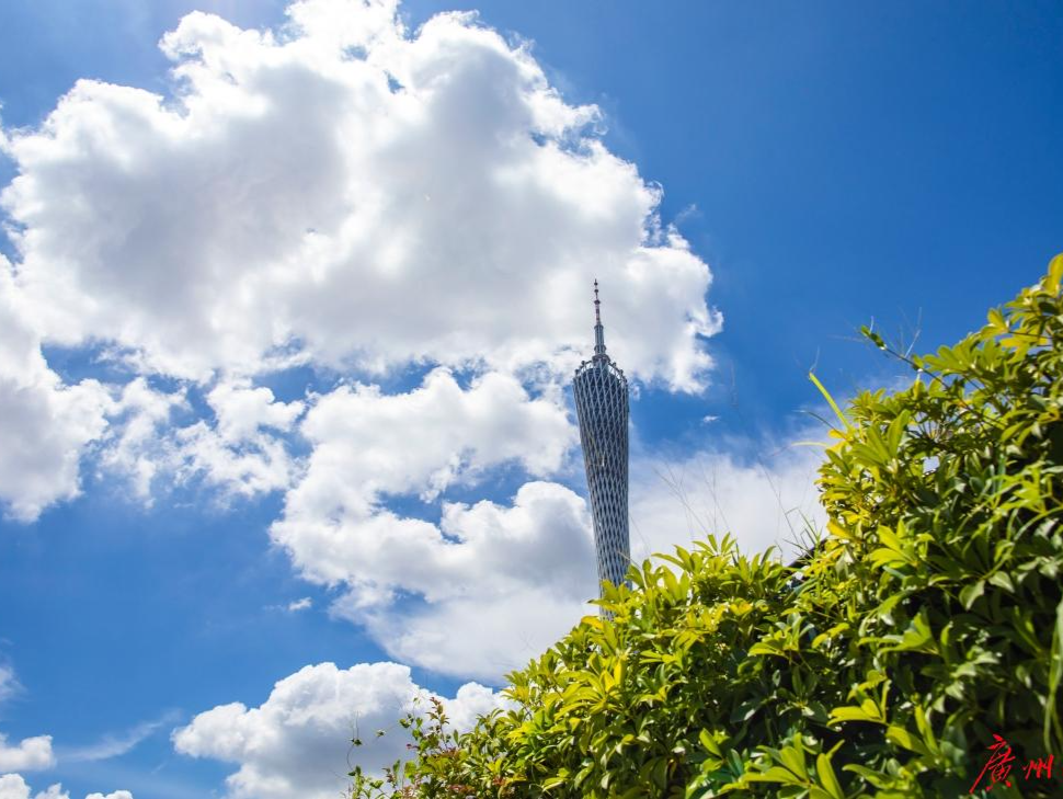 2022年前8个月，广州空气质量达标天数比例88.5%