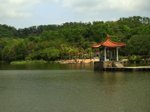 关于深圳市仙湖植物园继续闭园的通知