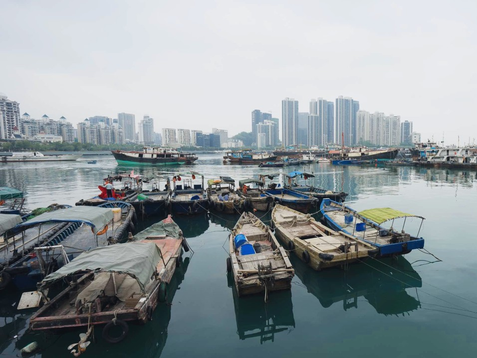 如何将蛇口渔人码头打造成网红打卡地？深圳市政协委员提出这些建议