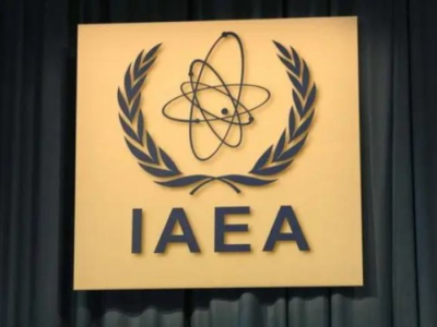 国际原子能机构驻扎波罗热核电站专家完成轮换