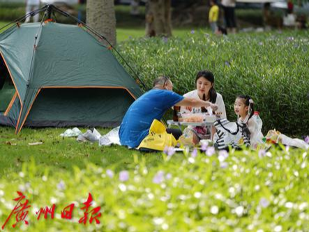 重阳节广州天气转晴，冷空气准备抢戏