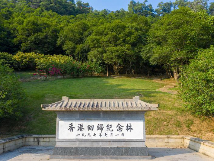 “非凡十年”系列⑨ 观文脉 102期 | 香港回归纪念林：如此蓬勃，如此热烈