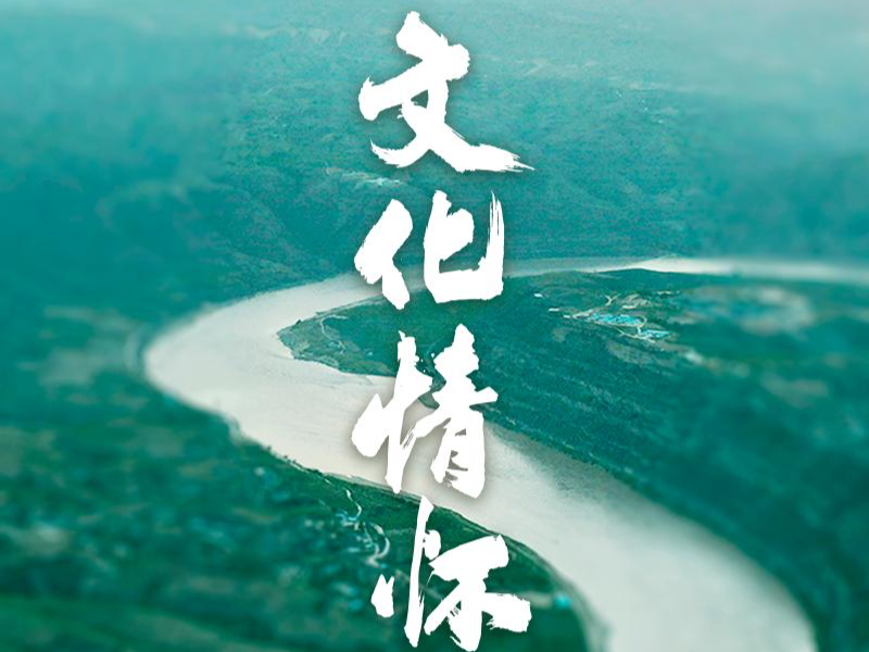纪录片《文化情怀》
