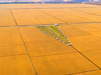 稻米产量品质双提升！黑龙江省水稻收获基本结束