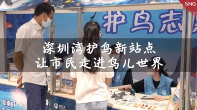 深圳湾公园新设护鸟志愿服务站