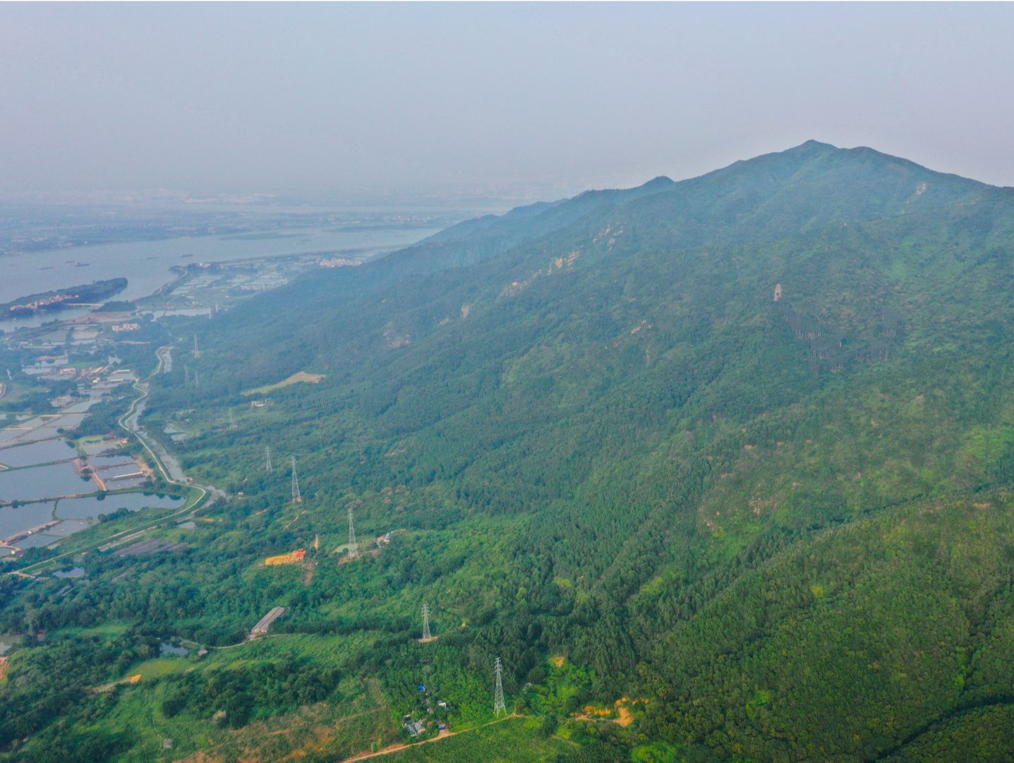 广东森林火险等级高 全省逾百个森林火险预警生效