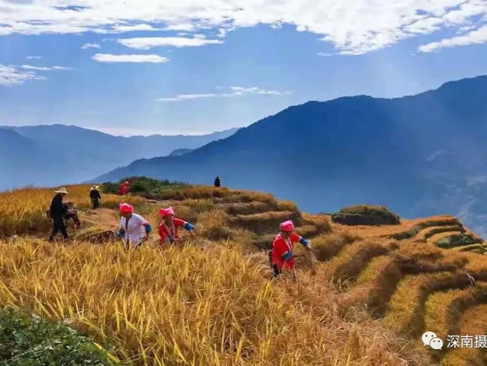 见证粤桂帮扶之路，南山区摄影家协会赴广西记录乡村振兴美好瞬间