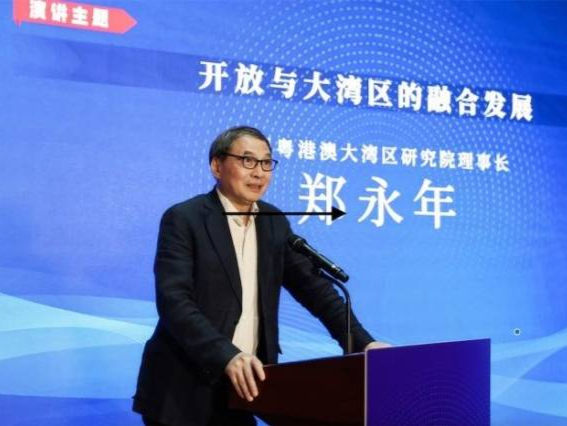 郑永年：大湾区要通过相互开放来加快建设进程