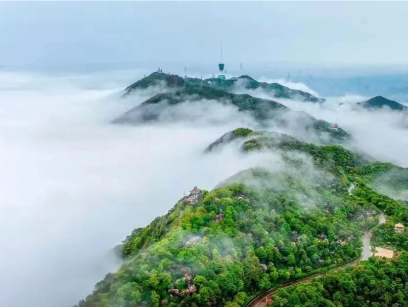 （有改动，以另一篇为准）深圳市梧桐山历史和文化溯源项目正式启动