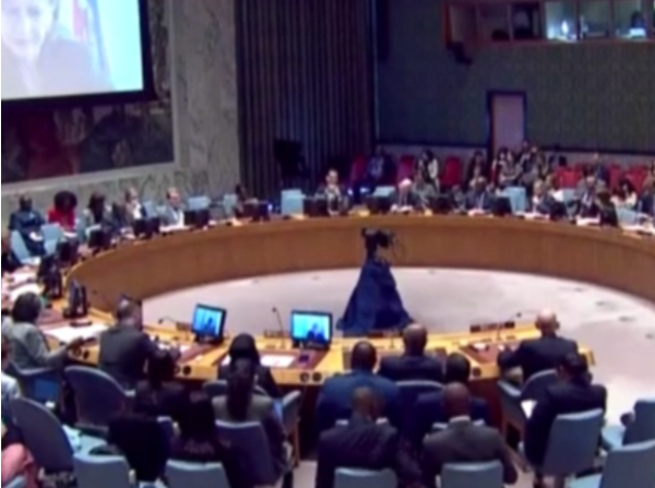 联合国安理会就海地局势举行会议