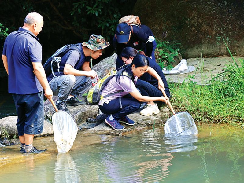 省专家带队！惠州象头山保护区启动无脊椎动物专项调查