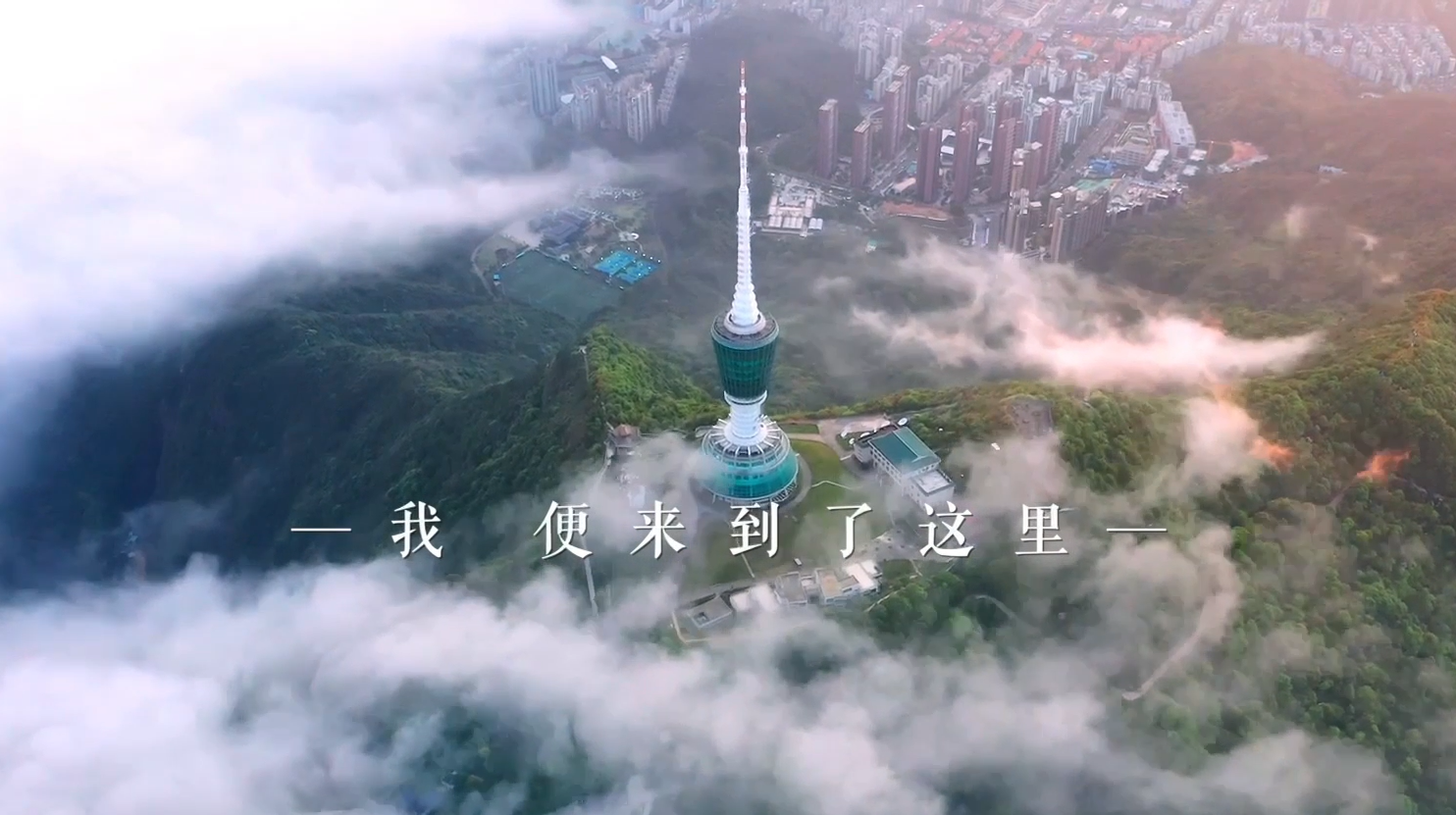 视频 | 来一场治愈之旅！走进罗湖梧桐山深处