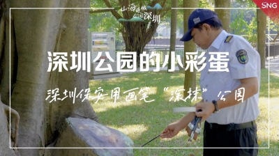20多年后重拾画笔，深圳保安将300多幅“彩蛋”藏进公园