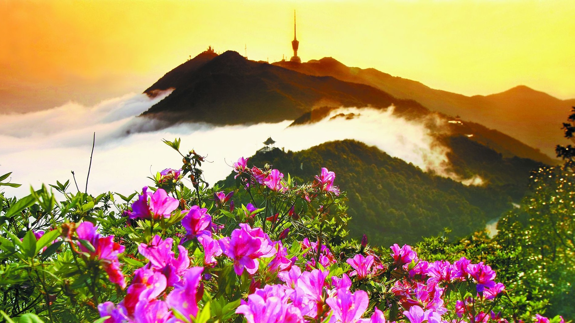 新闻日历 | 10月2日 19年前的今天，首届梧桐山登山节开幕
