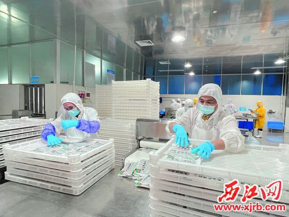 从“做产品”到“做标准”，肇庆三家企业获批参与省四个预制菜地方标准项目制定