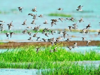 珠江、闽江：汤汤清水润南天