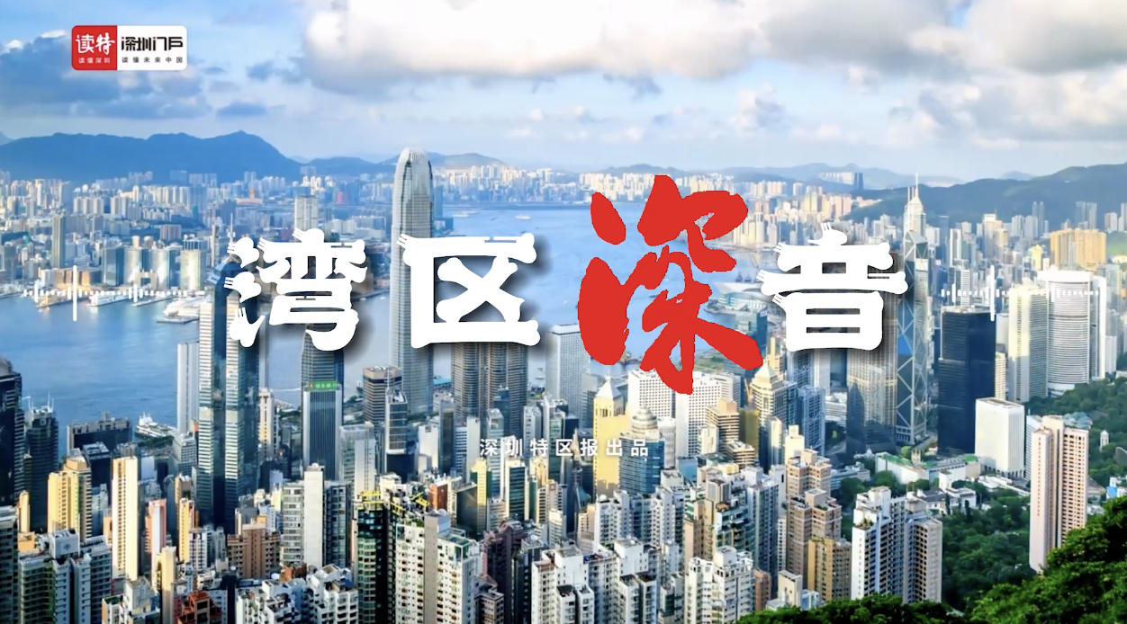湾区深音丨为民造福是立党为公、执政为民的本质要求