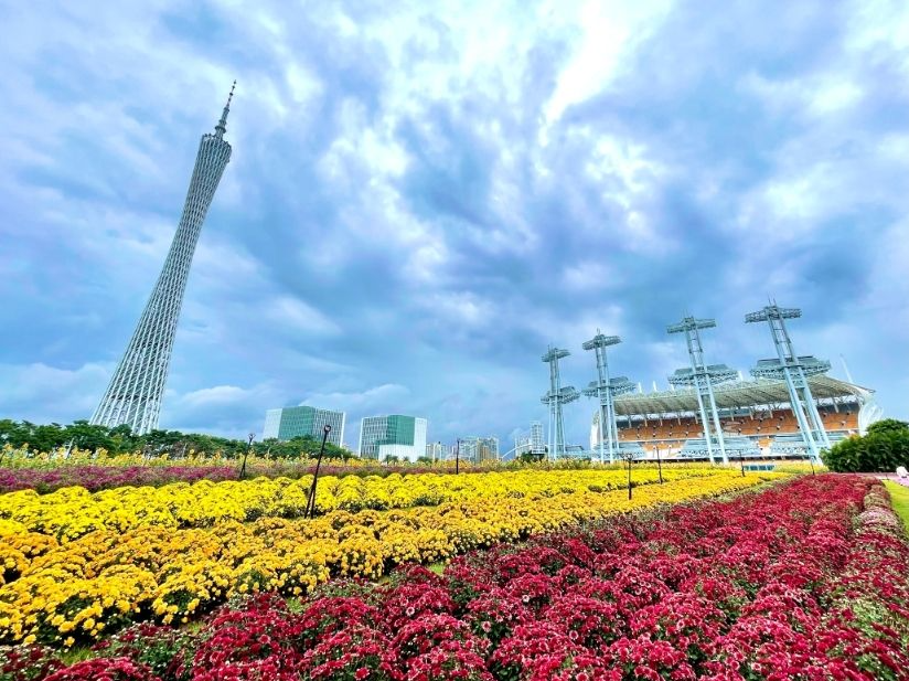 假期直击：市民游客登高赏花，感受广州生态之美