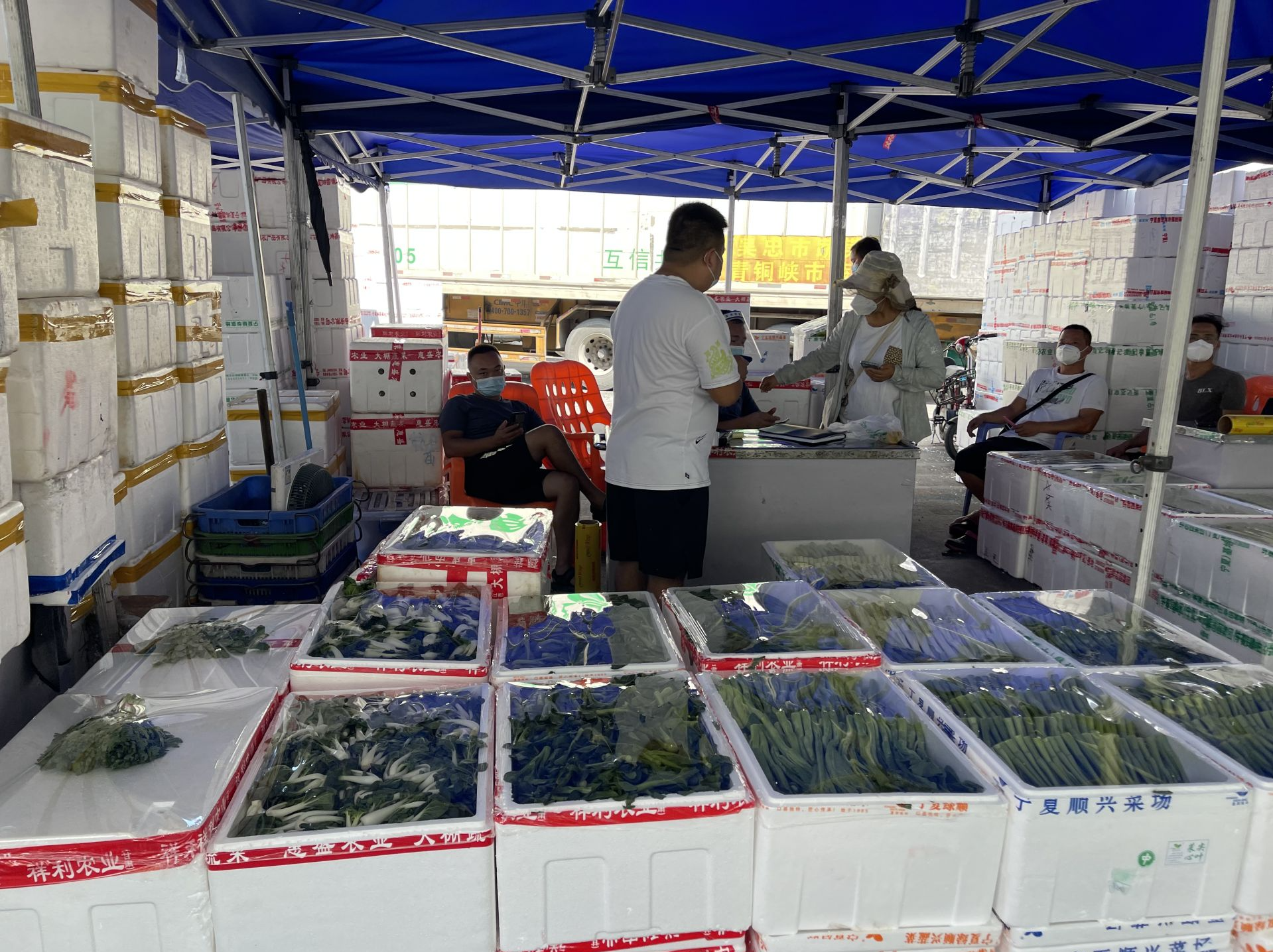 日均来货5800吨蔬菜！深圳假期“菜篮子”货足物丰价稳