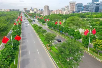 凤凰街道开展交通安全隐患专项治理行动