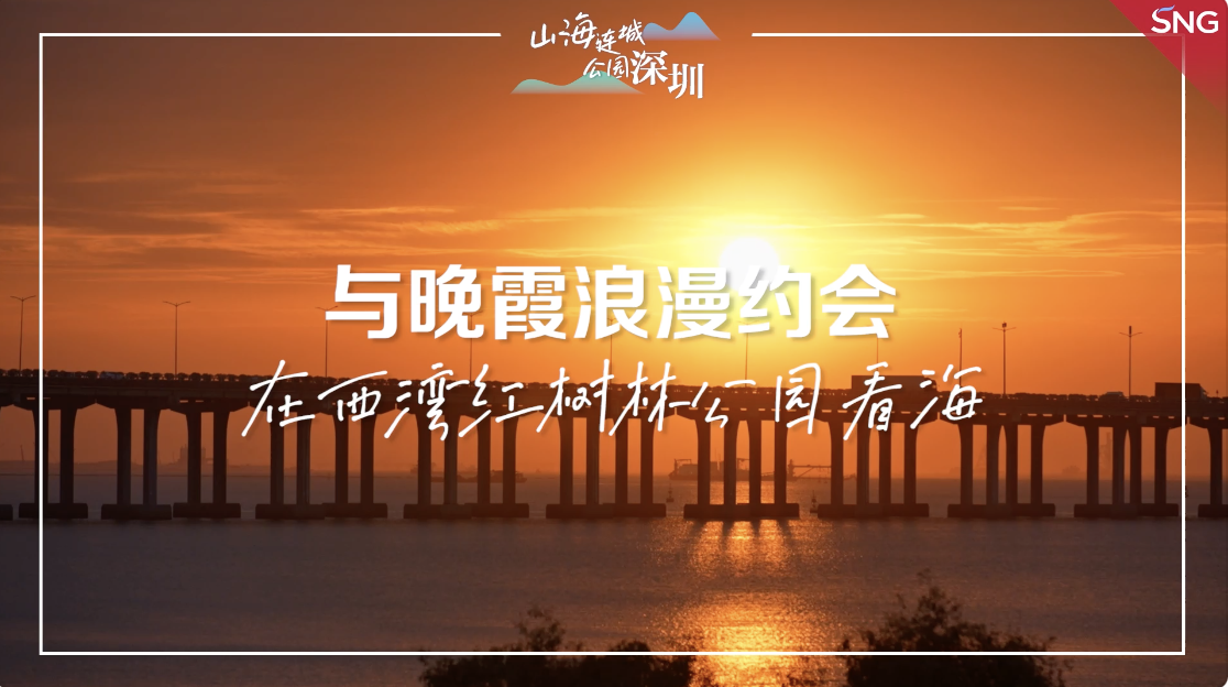 斜阳“圳”好 深圳人与晚霞的浪漫约会