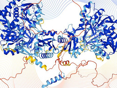 研究显示新型自动给药胶囊可增强大分子蛋白质药物吸收