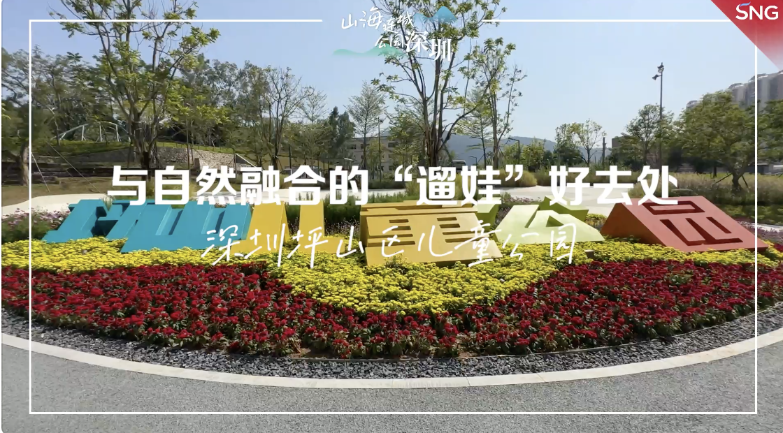 深圳人“遛娃”的宝藏新地标