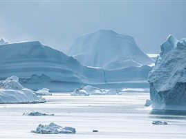 最新研究：气候变化可能增加北极地区病毒感染新宿主的风险
