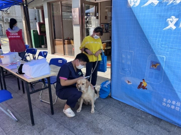 倡导文明养犬 公明街道“宣传+执法”  两手抓