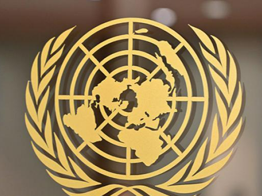 联合国秘书长呼吁向海地派遣专业国际部队