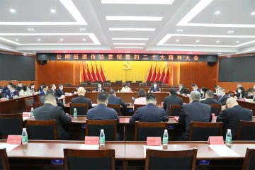 公明街道：奋力打造“科产协同示范区、中央水岸活力带、承古扬新公明城”