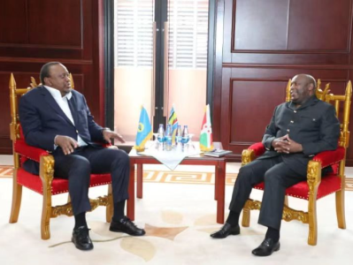 东非共同体：刚果（金）东部和平进程正走上正轨