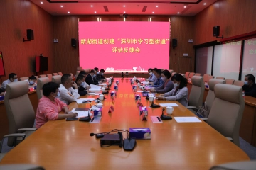 新湖街道高标准高质量通过“深圳市学习型街道”督导评估