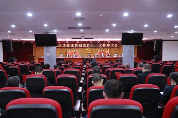 凤凰街道召开干部大会，学习贯彻党的二十大精神